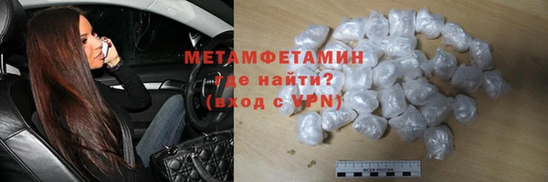 шишки Карпинск