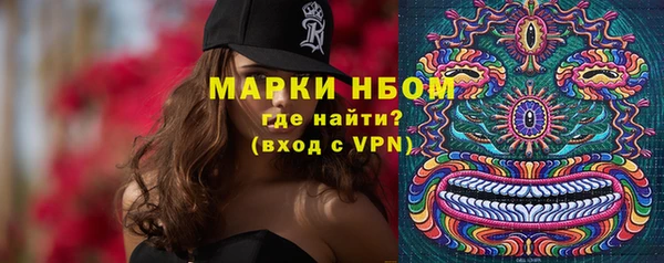 шишки Карпинск
