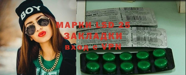 шишки Карпинск
